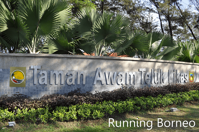 Lorong berbasikal dan jogging Taman Teluk Likas, Kota Kinabalu